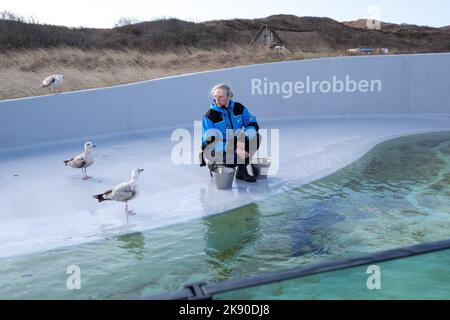 Paesi Bassi, Texel, 2022-02-25. Ecomare è un centro oceanografico olandese situato sull'isola di Texel e dedicato al Mare di Wadden e al Nor Foto Stock