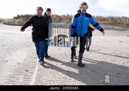 Paesi Bassi, Texel, 2022-02-25. Ecomare è un centro oceanografico olandese situato sull'isola di Texel e dedicato al Mare di Wadden e al Nor Foto Stock