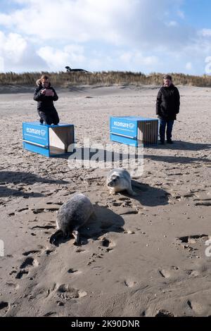 Paesi Bassi, Texel, 2022-02-25. Ecomare è un centro oceanografico olandese situato sull'isola di Texel e dedicato al Mare di Wadden e al Nor Foto Stock