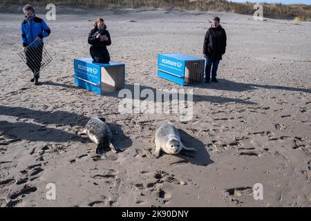 Paesi Bassi, Texel, 2022-02-25. Ecomare è un centro oceanografico olandese situato sull'isola di Texel e dedicato al Mare di Wadden e al Nor Foto Stock