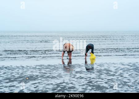 Yuzhno-Kurilsk, Russia - 03 agosto 2022: Le persone raccolgono crostacei sulla riva con la bassa marea sull'isola di Kunashir sullo sfondo della pesca Foto Stock