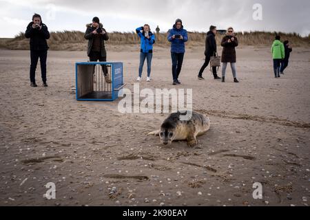 Paesi Bassi, Texel, 2022-02-25. Ecomare è un centro oceanografico olandese situato sull'isola di Texel e dedicato al Mare di Wadden e al Nor Foto Stock