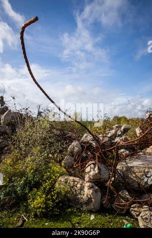 Stambridge Mill, Derelict Corn Mill, Stambridge, Rochford, Essex © Clarissa Debenham / Alamy Foto Stock