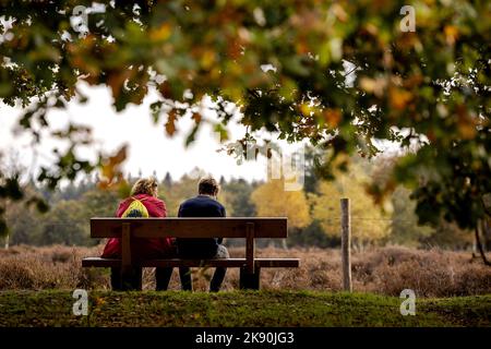 2022-10-25 15:00:37:19 BASSA VUURSCHE - Autunno nei boschi vicino Lage Vuursche. Autunno attira gli escursionisti fuori durante le vacanze autunnali. ANP ROBIN VAN LONKHUIJSEN olanda fuori - belgio fuori Foto Stock