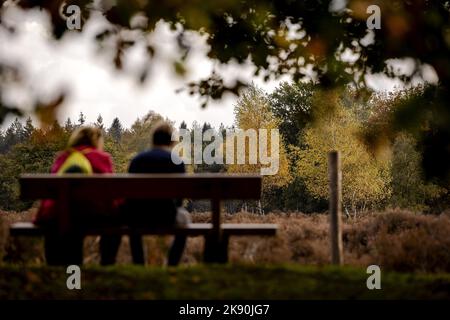 2022-10-25 15:00:40:19 BASSA VUURSCHE - Autunno nei boschi vicino Lage Vuursche. Autunno attira gli escursionisti fuori durante le vacanze autunnali. ANP ROBIN VAN LONKHUIJSEN olanda fuori - belgio fuori Foto Stock