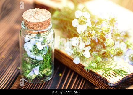 Nigella arvensis, diavolo-in-un-cespuglio, amore-in-un-nebbia in mortaio di legno accanto a fiori secchi in vaso medico con sughero per la produzione di olio di cumino nero da Foto Stock