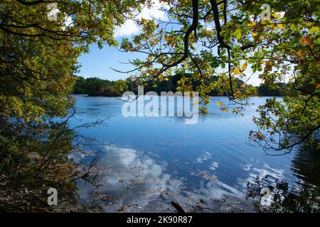 Brasside Pond al sole d'autunno Foto Stock