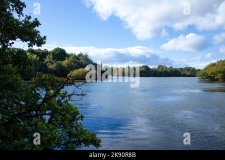 Brasside Pond al sole d'autunno Foto Stock