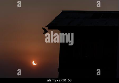 Srinagar, India. 25th Ott 2022. Eclissi solare parziale visibile da Srinagar. Un'eclissi solare parziale visibile su diverse regioni dell'Europa, del Medio Oriente, delle parti nord-orientali dell'Africa, dell'Asia occidentale, dell'Oceano Atlantico settentrionale e dell'Oceano Indiano settentrionale il 25 ottobre. Tranne che per i pochi stati della regione nord-orientale, la maggior parte degli stati in India sarà in grado di assistere alle eclissi solari. (Credit Image: © Idrees Abbas/SOPA Images via ZUMA Press Wire) Foto Stock