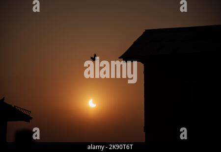 Srinagar, India. 25th Ott 2022. Eclissi solare parziale visibile da Srinagar. Un'eclissi solare parziale visibile su diverse regioni dell'Europa, del Medio Oriente, delle parti nord-orientali dell'Africa, dell'Asia occidentale, dell'Oceano Atlantico settentrionale e dell'Oceano Indiano settentrionale il 25 ottobre. Tranne che per i pochi stati della regione nord-orientale, la maggior parte degli stati in India sarà in grado di assistere alle eclissi solari. (Credit Image: © Idrees Abbas/SOPA Images via ZUMA Press Wire) Foto Stock