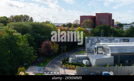 Una vista panoramica di una strada che conduce all'Università di Warwick circondata da alberi autunnali, Regno Unito Foto Stock