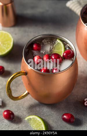 Boozy Cranberry Mosca Mule con Vodka e Lime Foto Stock