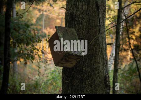 A closeup of a birdhouse hanging from a tree against the fall forest background Foto Stock