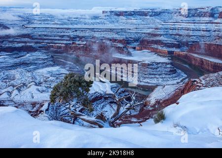 Vista invernale innevata sul collo dell'oca del fiume Colorado dal Dead Horse Point state Park, Moab, Utah. Il Canyonlands National Park è alle spalle. Foto Stock