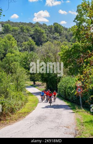 Un gruppo di ciclisti norvegesi di mezza età in bicicletta noleggiata percorrendo una strada collinare nel paesaggio umbro vicino a Spoleto, Umbria, Italia. Foto Stock