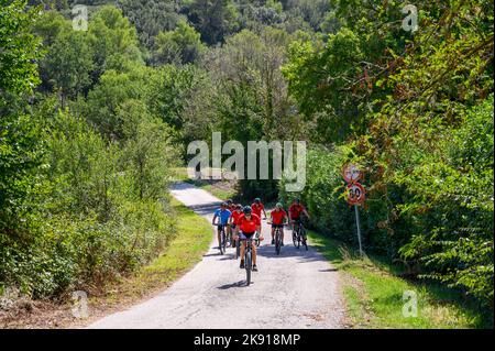 Un gruppo di ciclisti norvegesi di mezza età in bicicletta noleggiata percorrendo una strada collinare nel paesaggio umbro vicino a Spoleto, Umbria, Italia. Foto Stock