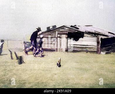 L'AGRICOLTURA AMERICANA DEPRESSIONE Dust Bowl condizioni in una fattoria nella contea di Cimarron, Oklahoma, nel mese di aprile 1936 Foto Stock