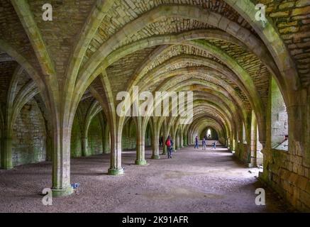 Fountains Abbey, vicino a Ripon, North Yorkshire, Inghilterra, Regno Unito Foto Stock