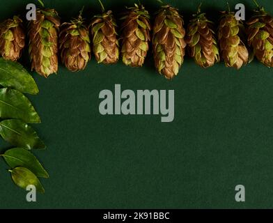 Giacitura piatta. Coni di luppolo essiccati, humulus lupulus, disposti in una cornice lungo una tavola su sfondo verde. Spazio di copia Foto Stock