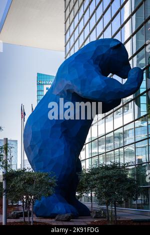 Una statua di un grande orso blu che guarda attraverso le finestre del centro congressi di Denver, USA Foto Stock