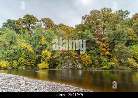 Colori autunnali lungo il fiume Wharfe che si riflettono nell'acqua che scorre velocemente. Foto Stock