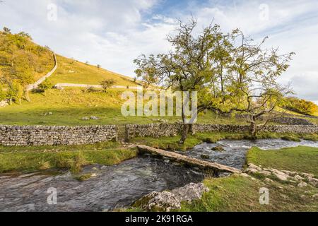 Uno stretto ponte attraversa il Malham Beck vicino a Malham Cove, nelle Yorkshire Dales, in autunno. Foto Stock