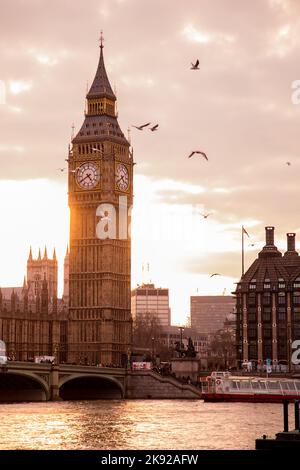 Tramonto giallo dietro l'edificio del Big ben. Serata nuvolosa a Londra, vicino al Tamigi. Gabbiani che volano sopra gli edifici storici di Londra Foto Stock