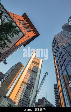 Francoforte, Germania - 18 luglio 2016: Panorama di Francoforte sul meno con grattacieli a Torre principale. La piattaforma Maintower è gratuita per il pubblico. Foto Stock