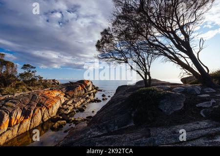 Le iconiche rocce ricoperte di licheni e le acque turchesi dell'oceano nella Baia degli incendi attraverso il Cosy Corner vicino a Binalong Bay, Tasmania, Australia Foto Stock