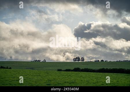 paesaggi agricoli in primavera in nuova zelanda Foto Stock