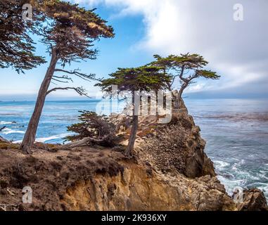 MONTEREY, CALIFORNIA - 21 SETTEMBRE 2014: Vista dell'albero di Lone Cypress lungo la famosa 17 Mile Drive a Monterey. Fonti sostengono che è una delle t più fotografate Foto Stock