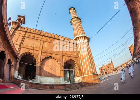 DELHI, INDIA - 8 NOVEMBRE 2011: Adoratori al cortile della moschea di Jama Masjid a Delhi, India. Jama Masjid è la moschea principale della vecchia Delhi Foto Stock