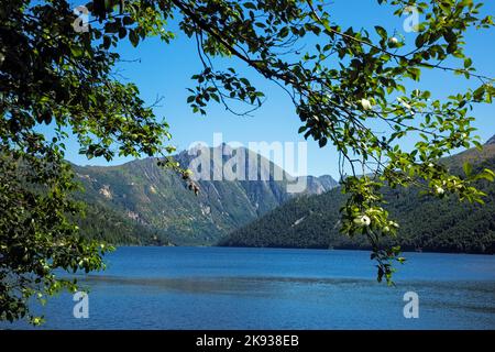 WA22521-00...WASHINGTON - Lago Coldwater, formato dall'eruzione del Monte St. Helens nel 1980. Ora parte del Mount St. Helens National Volcanic Monument Foto Stock