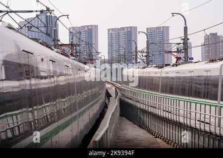 Paesaggio urbano dal treno aereo monorotaia a Tokyo Foto Stock