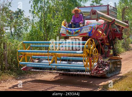 Un uomo siede su una macchina per la raccolta del riso su una piccola strada rurale in Thailandia. Foto Stock