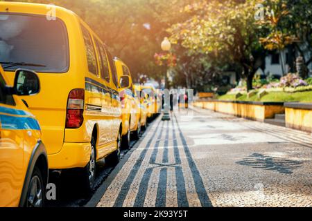 Linea di taxi gialli nella città di Funchal. Madera Portogallo Foto Stock