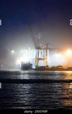 Amburgo, Germania. 26th Ott 2022. Il terminale contenitore Tollerort nella nebbia mattutina. Nella controversia relativa all'ingresso del gruppo statale cinese Cosco nel terminal container Tollerort del porto di Amburgo, il gabinetto tedesco deciderà un compromesso il 26 ottobre 2022. Credit: Jonas Walzberg/dpa/Alamy Live News Foto Stock