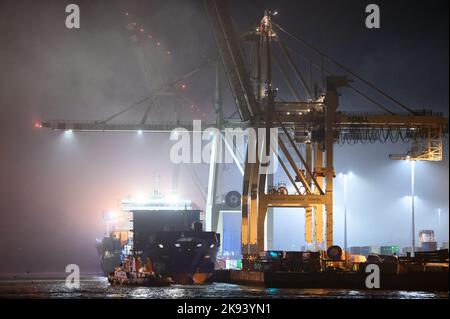 Amburgo, Germania. 26th Ott 2022. Il terminale contenitore Tollerort nella nebbia mattutina. Nella controversia relativa all'ingresso del gruppo statale cinese Cosco nel terminal container Tollerort del porto di Amburgo, il gabinetto tedesco deciderà un compromesso il 26 ottobre 2022. Credit: Jonas Walzberg/dpa/Alamy Live News Foto Stock