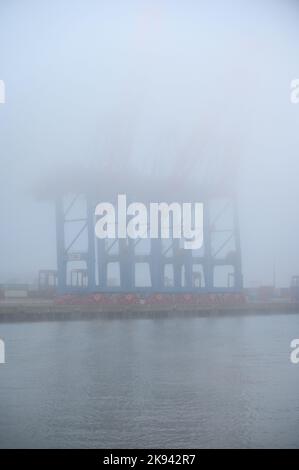 Amburgo, Germania. 26th Ott 2022. Gru a portale per container del terminale per container Tollerort in nebbia fitta. Il gabinetto tedesco ha concordato un compromesso nella controversia sulla partecipazione cinese a un terminal per container nel porto di Amburgo. Credit: Jonas Walzberg/dpa/Alamy Live News Foto Stock