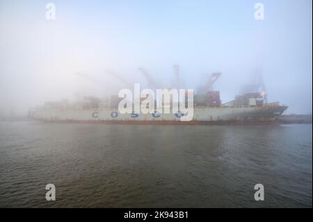 Amburgo, Germania. 26th Ott 2022. La nave portacontainer Cosco Pride si trova nella fitta nebbia del terminal dei container di Tollerort. Il gabinetto tedesco ha concordato un compromesso nella controversia sulla partecipazione cinese a un terminal per container nel porto di Amburgo. Credit: Jonas Walzberg/dpa/Alamy Live News Foto Stock