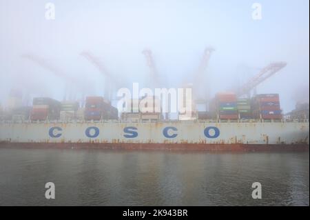 Amburgo, Germania. 26th Ott 2022. La nave portacontainer Cosco Pride si trova nella fitta nebbia del terminal dei container di Tollerort. Il gabinetto tedesco ha concordato un compromesso nella controversia sulla partecipazione cinese a un terminal per container nel porto di Amburgo. Credit: Jonas Walzberg/dpa/Alamy Live News Foto Stock