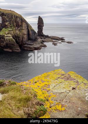 Lo stack marino dell'Old Man of Stoer ad Assynt, Scozia, Regno Unito. Foto Stock