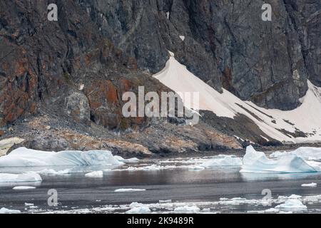 lichen su rocce sopra gentoo pinguino rookery. isola di cuverville. canale errera. penisola antartica. antartide Foto Stock