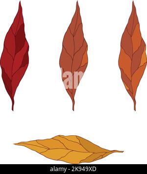 Foglie disegnate a mano in diversi colori autunnali. Oggetti isolati. Grafica vettoriale Illustrazione Vettoriale