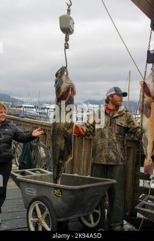 Pesando pesce a Seward, Alaska è una città di regola domestica incorporata in Alaska, Stati Uniti. Situato sulla Resurrection Bay, un fiordo del Golfo dell'Alaska Foto Stock