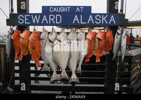 La pesca sportiva a Seward, Alaska è una città di regola domestica incorporata in Alaska, Stati Uniti. Situato sulla Resurrection Bay, un fiordo del Golfo dell'Alaska Foto Stock