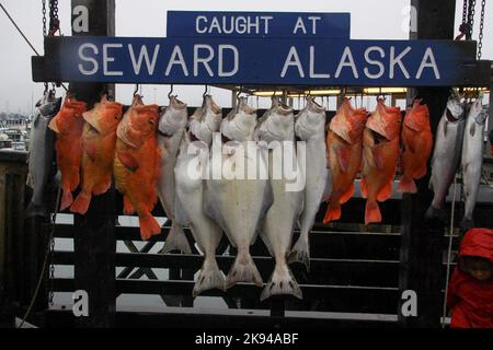 La pesca sportiva a Seward, Alaska è una città di regola domestica incorporata in Alaska, Stati Uniti. Situato sulla Resurrection Bay, un fiordo del Golfo dell'Alaska Foto Stock