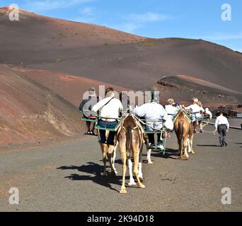 PARCO NAZIONALE DI TIMANFAYA, LANZAROTE, SPAGNA - DICEMBRE 26: I turisti che cavalcano i cammelli sono guidati dalla gente del posto attraverso il famoso Timanfaya National Foto Stock