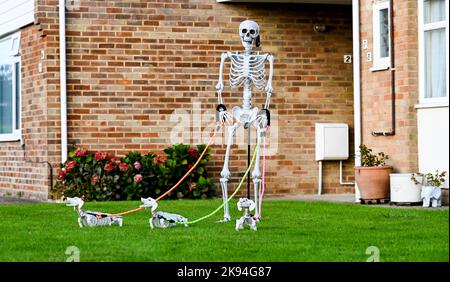 Worthing UK 26th ottobre 2022 - Un camminatore e un hounds spaventosi del cane che prendono parte al festival annuale di Scarecrow a Ferring vicino a Worthing, Sussex occidentale. Oltre 70 spaventapasseri sono attesi per comparire in tutto il villaggio nel corso della settimana : Credit Simon Dack / Alamy Live News Foto Stock