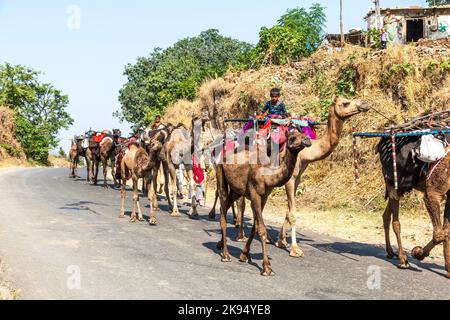 PUSHKAR, INDIA - 22 OTTOBRE: La gente del villaggio si sposta con tutte le loro merci al terreno seguente il 22 ottobre 2012 vicino a Pushkar, Rajasthan, India. Il cammello Foto Stock